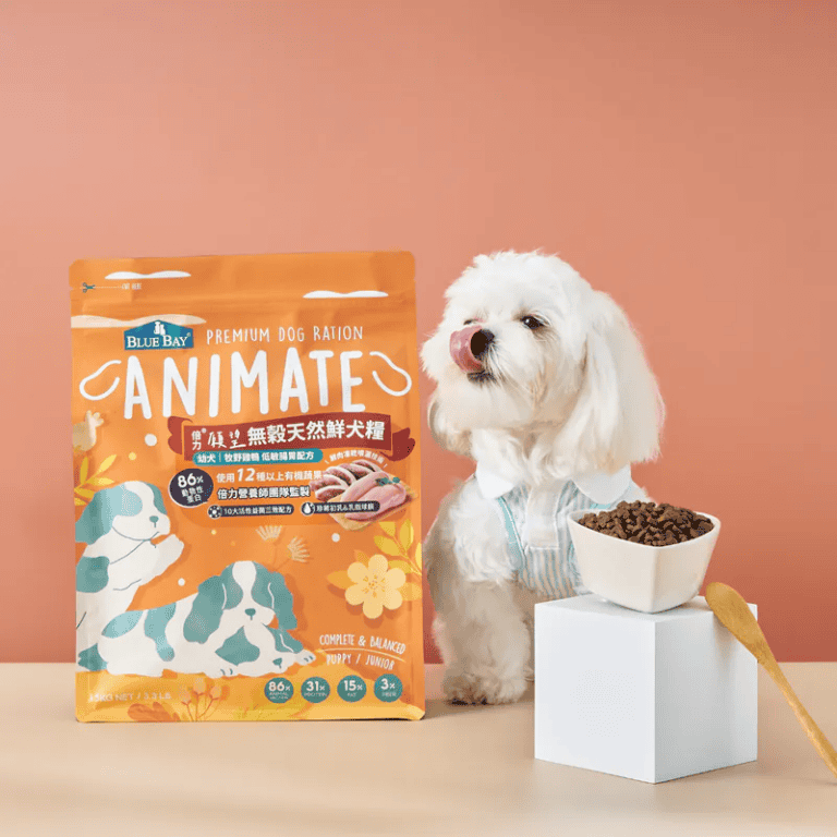 倍力無穀天然鮮犬糧的亮橘色包裝旁，一隻穿著條紋襯衫的白色瑪爾濟斯狗狗伸出舌頭舔嘴，一旁還有裝滿狗糧的白色碗。