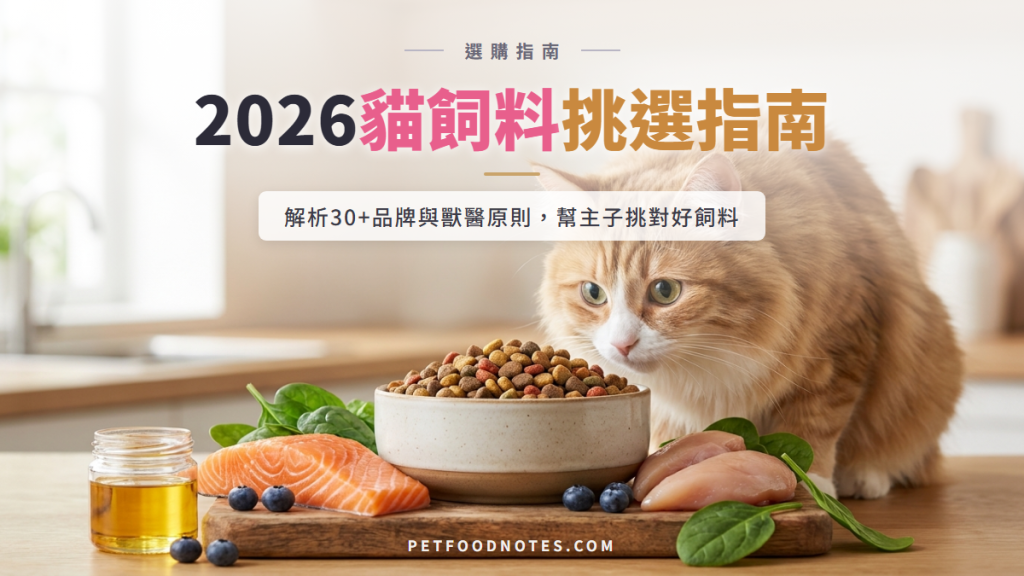 2026 貓飼料挑選指南：30+ 品牌與獸醫原則解析