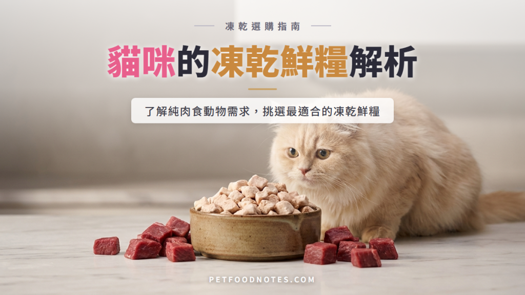貓凍乾鮮糧完整解析：純肉食動物的飲食選擇指南