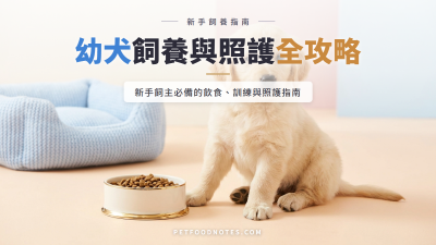 幼犬飼養全攻略：飲食、訓練與照護指南