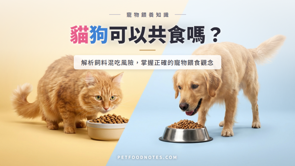 貓狗可以共食嗎？飼料混吃的風險與正確觀念