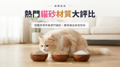 貓砂選購指南：熱門貓砂材質評比與挑選建議