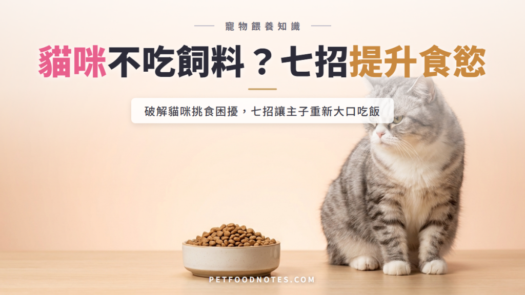 貓咪不吃飼料怎麼辦？七招有效提升食慾