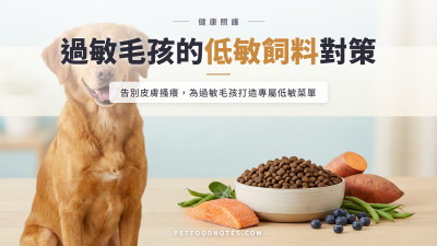 寵物低敏飼料與營養照護：過敏毛孩的飲食對策