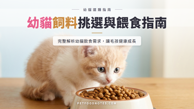 幼貓飼料挑選與餵食指南：完整解析貓咪飲食需求