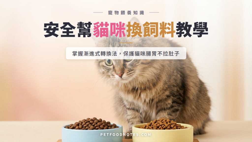 貓咪換飼料教學：安全轉換新飼料的完整方法