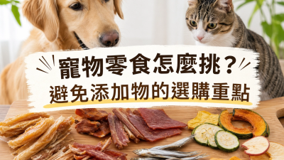 寵物零食怎麼挑？避免添加物的選購重點