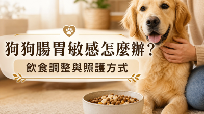 狗狗腸胃敏感怎麼辦？飲食調整與照護方式