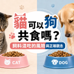 貓狗可以共食嗎？飼料混吃的風險與正確觀念
