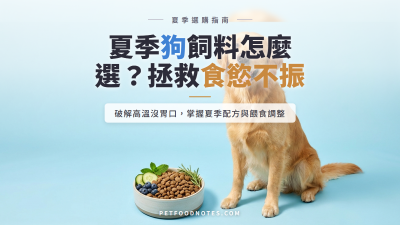 夏季狗飼料怎麼選：高溫食慾不振的配方與餵食調整