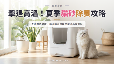 夏季貓砂除臭攻略：高溫高濕環境的選砂重點