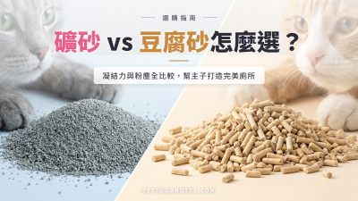 礦砂 vs 豆腐砂怎麼選：凝結力與粉塵全比較