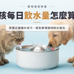 毛孩每日飲水量怎麼算：脫水徵兆與補水技巧