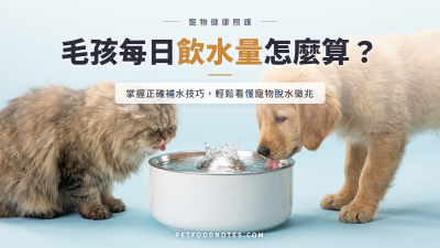 毛孩每日飲水量怎麼算：脫水徵兆與補水技巧
