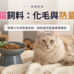 室內貓飼料選購指南：化毛配方與熱量控制重點