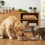 2026年AAFCO寵物飼料標準更新重點與變化